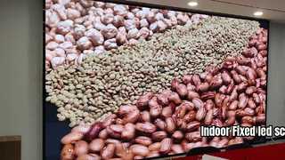 Schermo LED P2.5 per interni per hotel